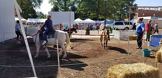 Photos from the 2018 Hope Heritage Days, Sept. 28-30th. Submitted photo