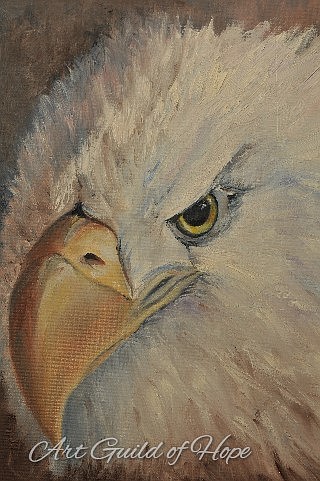 Photo detail