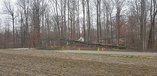 Tree trimmers for Bartholomew County REMC knocked down a tree Tuesday, Dec. 4th into power lines at County Road 500N and 1000E in Hope, creating a power outage that affected Schaefer Lake and other residents to the east. Photos courtesy of Michael Dean.