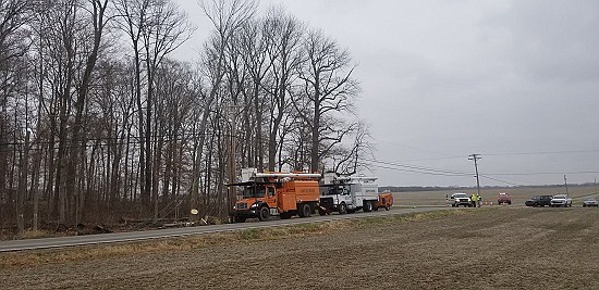 Tree trimmers for Bartholomew County REMC knocked down a tree Tuesday, Dec. 4th into power lines at County Road 500N and 1000E in Hope, creating a power outage that affected Schaefer Lake and other residents to the east. Photos courtesy of Michael Dean.