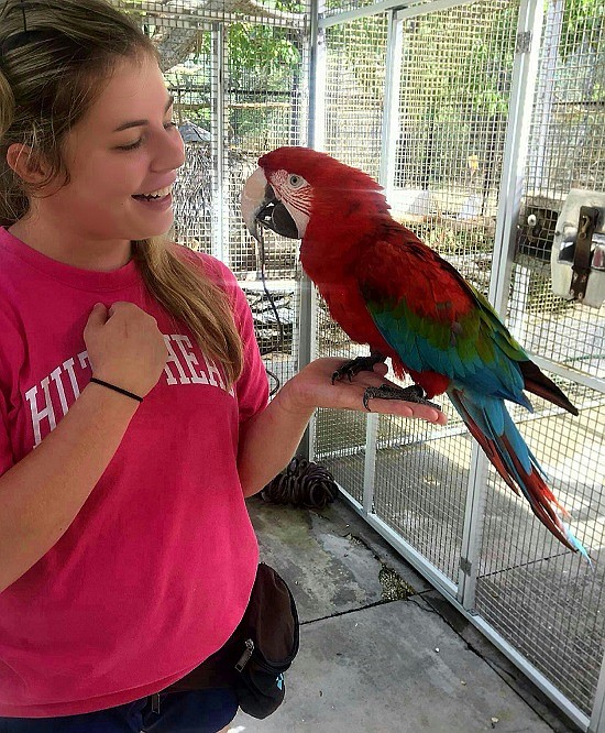 Hauser grad Carsen Dean spent more than a year recently caring for the exotic animals at magician David Copperfield's personal island resort, Musha Cay, in the Bahamas. 