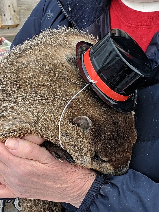 Photos from the 2019 Groundhog Day celebration on the Hope Town Square. Submitted photos
