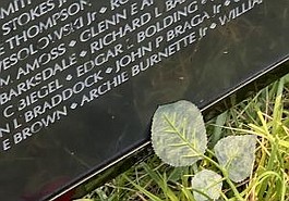 Lead photo
